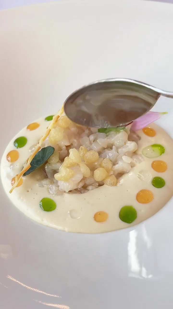 Tartar od lignje